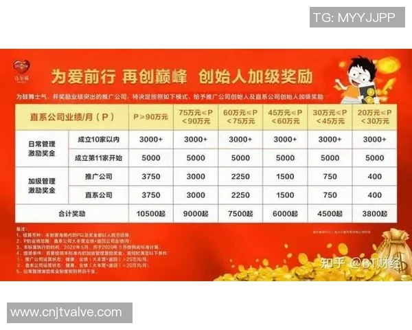 王丽专访揭示足球成功背后的秘密与经验分享