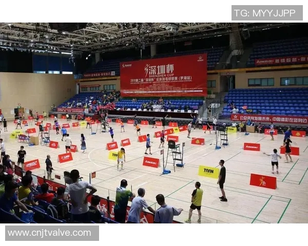 深圳羽毛球队转型升级之路探索与展望